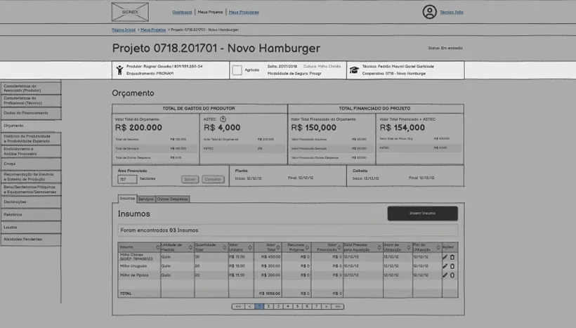 Low-fidelity wireframe of the budget block with totals and the inputs table
